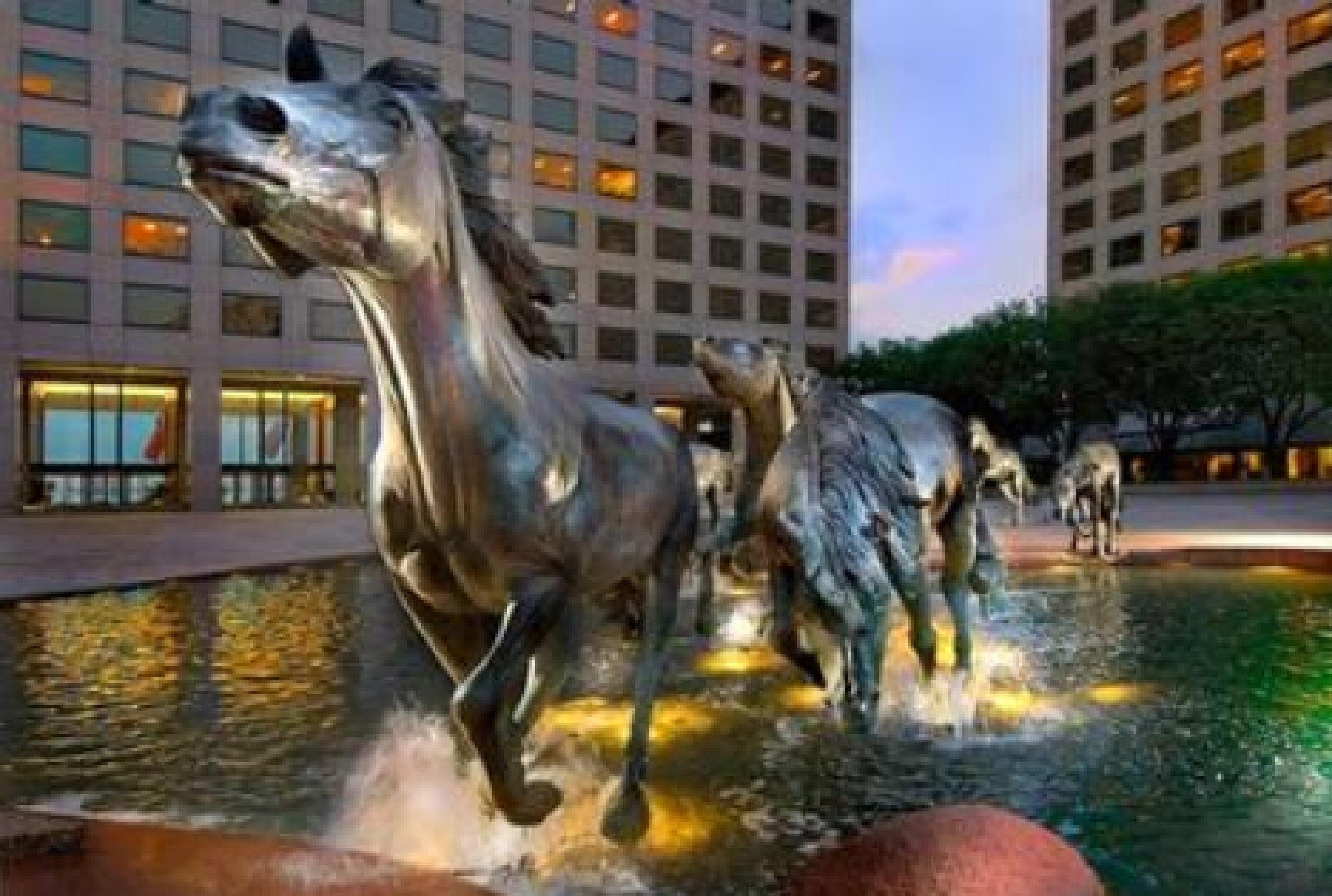 Sonesta Simply Suites Dallas Las Colinas Ървинг Екстериор снимка
